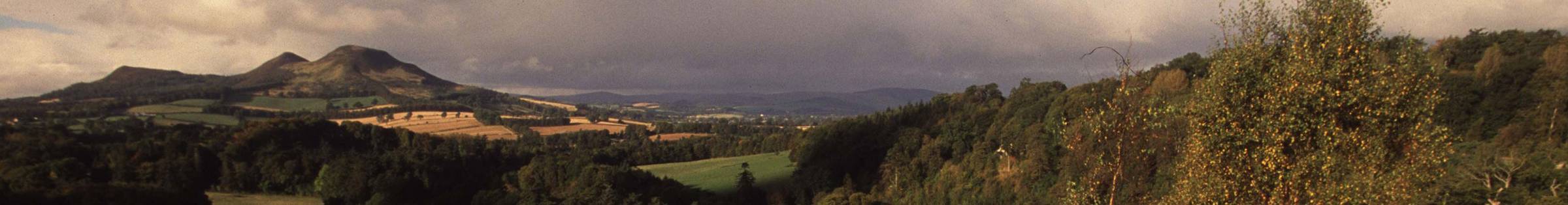 Scotts-View-wide